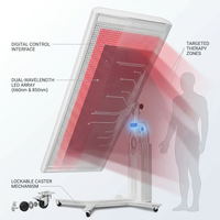 TheraLux Pro Mobility Pane — How It Works