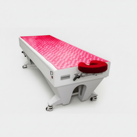 Red Light Therapy Bed Engineered for Full-Body Treatment, Medical-Grade LEDs, Height-Adjustable Canopy, Professional Results